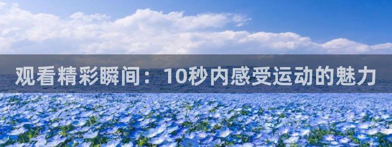 谈球吧体育官网