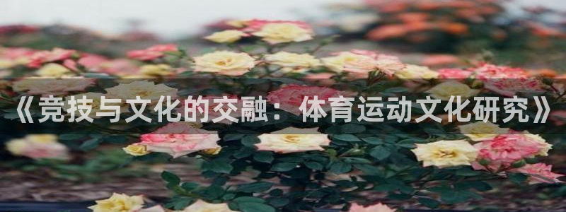 谈球吧