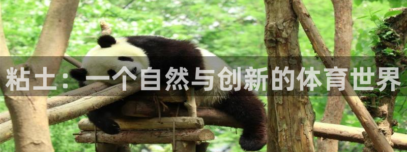 谈球吧体育