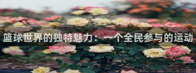 谈球吧