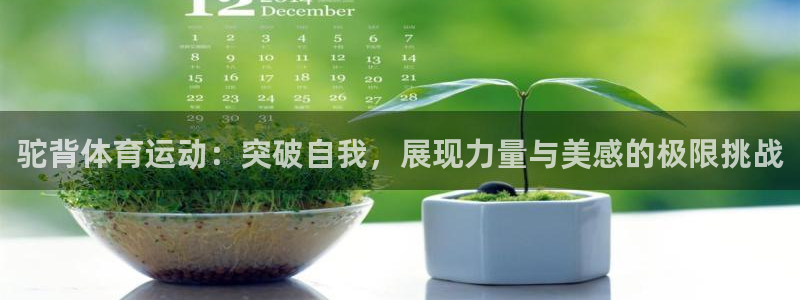 谈球吧