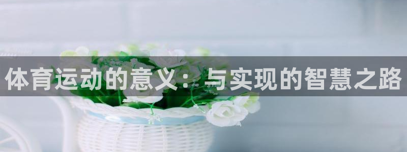谈球吧：体育运动的意义：与实现的智慧之路