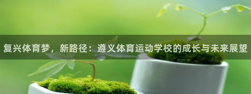 谈球吧：复兴体育梦，新路径：遵义体育运动学校的成长与未来展望