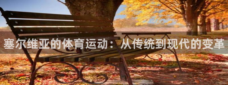 谈球吧：塞尔维亚的体育运动：从传统到现代的变革