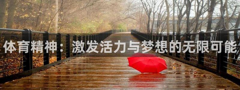 谈球吧体育：体育精神：激发活力与梦想的无限可能