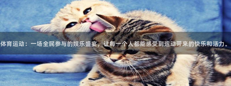 谈球吧：体育运动：一场全民参与的娱乐盛宴，让每一个人都能感受到运动带来的快乐和活力。