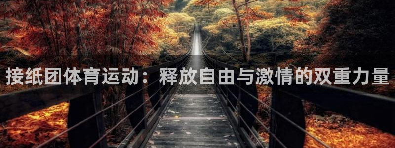 谈球吧体育官网：接纸团体育运动：释放自由与激情的双重力量
