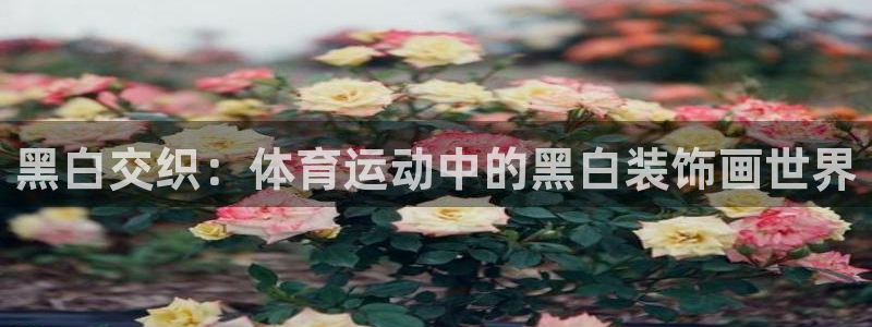 谈球吧体育：黑白交织：体育运动中的黑白装饰画世界