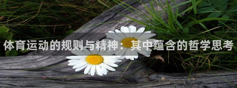 谈球吧体育官网：体育运动的规则与精神：其中蕴含的哲学思考